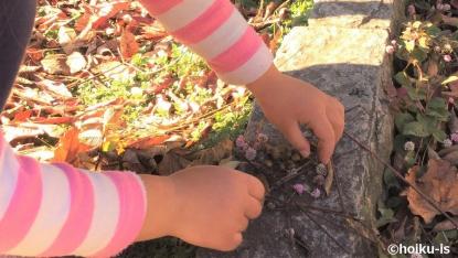 子どもたちの遊びの幅が広がる?保育者にとって大切な「マインドセット」とは