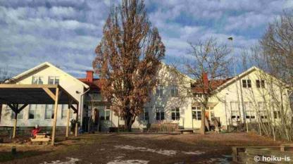 スウェーデンのプレスクールっていったいどんなところ？