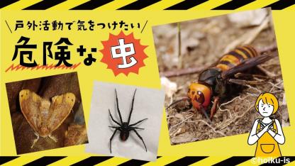 戸外活動で気をつけたい危険な虫!その特徴と対処法【園内掲示用ポスター付き】
