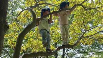 意識の変化で保育がシフト【自然の中で見つける保育】