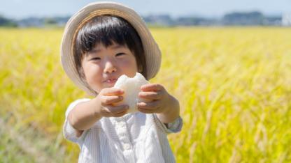 保育園での食育活動の進め方を解説〜基礎知識と計画・実行の手順