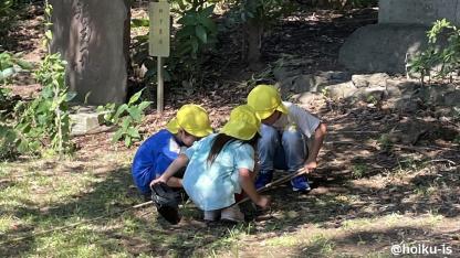 大人の思考の枠を超える子どもの遊び【自然の中で見つける保育】