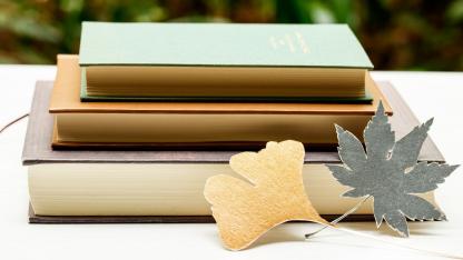 【100冊から厳選】たった3冊で保育士として成長できる本