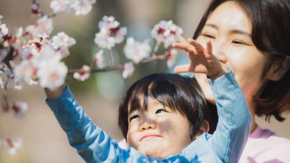 1年間の子どもとクラスの成長の見通しと意識するポイント【保育のヒント】