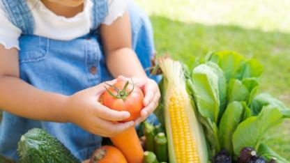 食育に取り入れたい夏が旬の食材|知識と伝え方