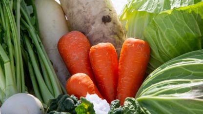 食育に取り入れたい冬が旬の食材|知識と伝え方