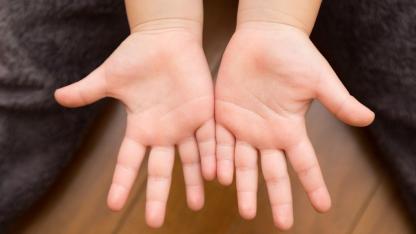 【理学療法士解説】手の発達は“感覚の地図づくり”から始まる