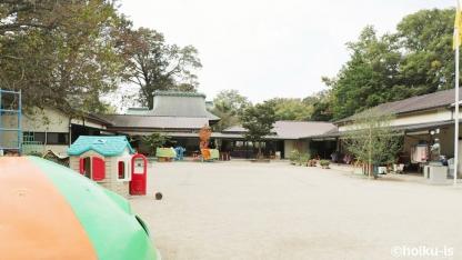 仏教保育と自然体験保育のコラボ！子どもも大人も通いたくなる理由【園レポートVol.2】