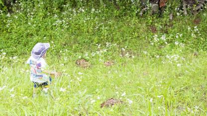 どんな活動をする？注目を集める自然体験保育とは