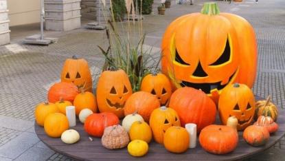 保育園のハロウィン行事の導入に!おすすめ絵本5選【ハロウィンのかくれんぼ】