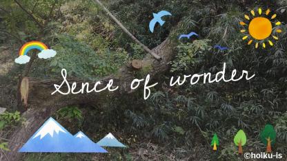 準備できない教材！子どもが自然の大きさを体感する機会