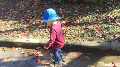 子どもたちの豊かな対話を引き出す『体験のシェア』とは？