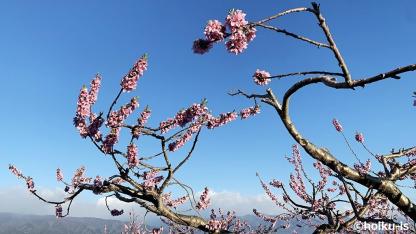 発達障害のある子の保育とは？児童発達支援の専門家コラムがスタート