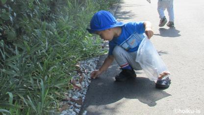 どうする？ストレスを抱える子どもたち。今こそ自然の中での「センス・オブ ・ワンダー」が必要とされる訳