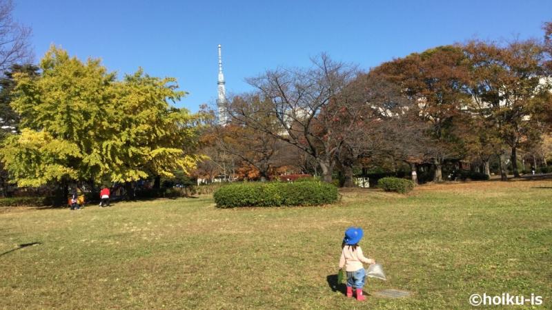 青空の下で遊んでいる子ども