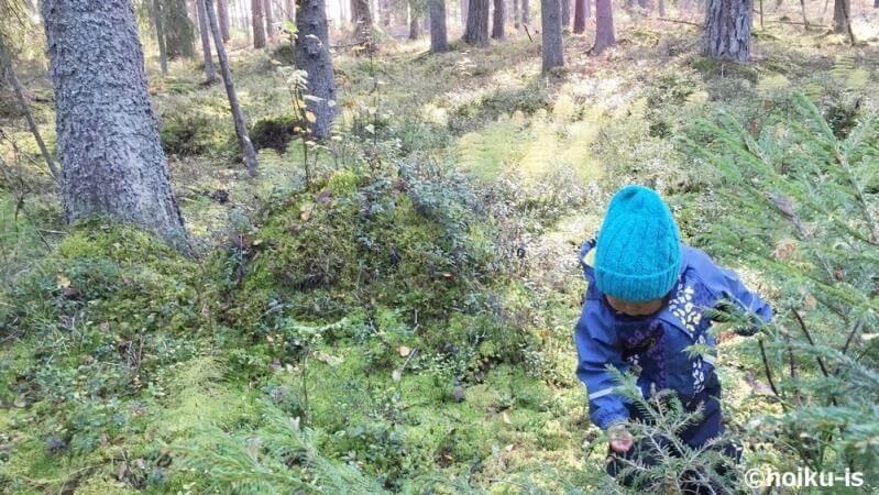 スウェーデンの森の中で遊ぶ子ども