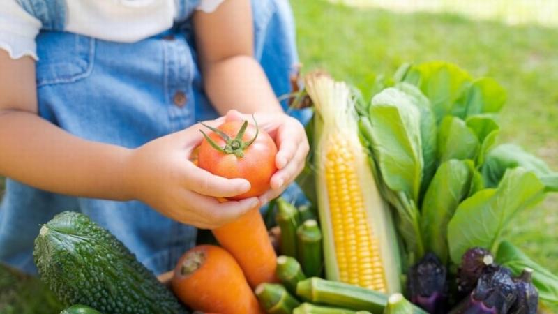 保育園の栽培活動におすすめの野菜3選 簡単に収穫できるものは 保育士 幼稚園教諭のための情報メディア ほいくis ほいくいず