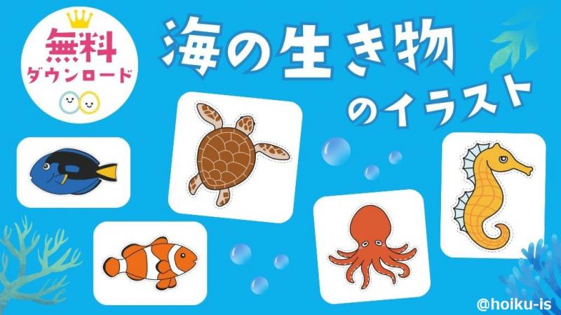 壁面飾りや室内遊びに！海の生き物のイラストプレゼント｜保育士・幼稚園教諭のための情報メディア【ほいくis／ほいくいず】