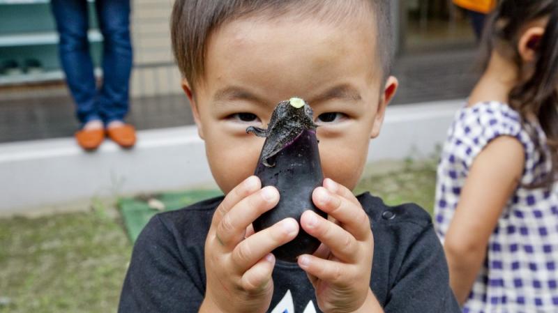 苦手な野菜も克服 保育園で野菜を育てよう 保育士 幼稚園教諭のための情報メディア ほいくis ほいくいず