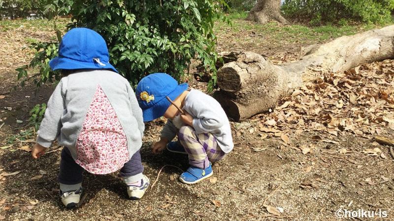 自然の中で遊ぶ子ども達