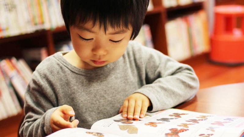 図鑑を読んでいる男の子