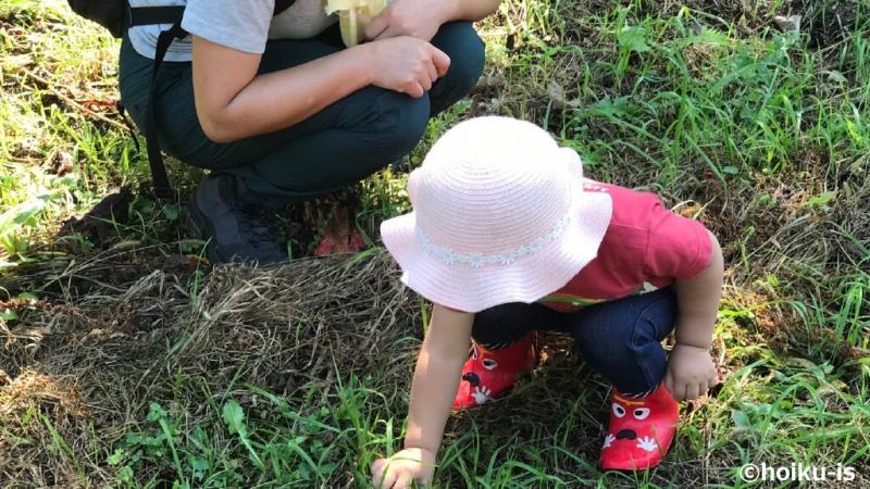 草を触る子ども