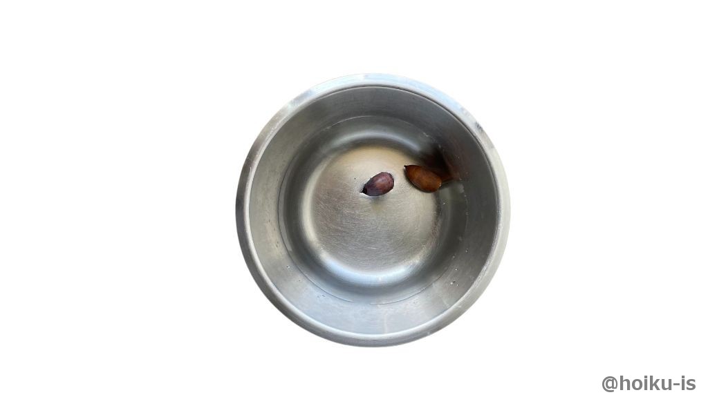 どんぐりの汚れを水で洗い、しっかり乾かす