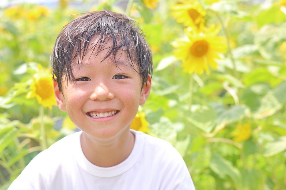 ひまわり畑の前で笑う男の子