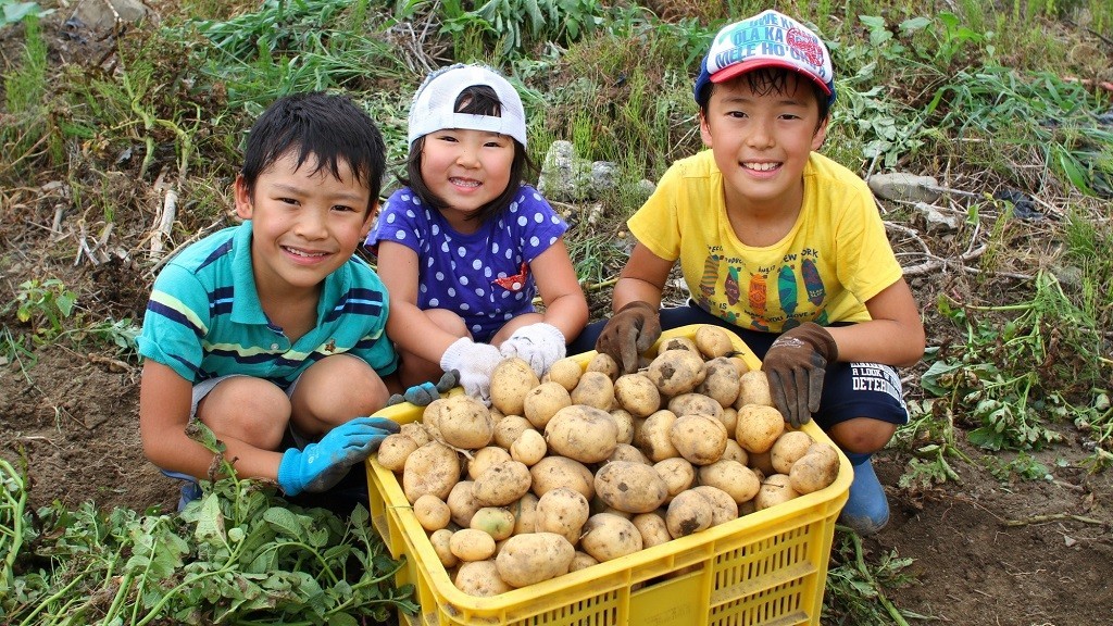 収穫したジャガイモと子どもたち