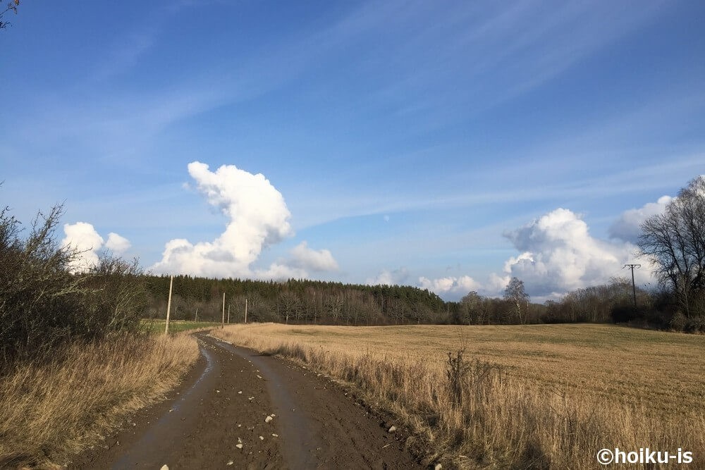 スウェーデンの田舎の風景