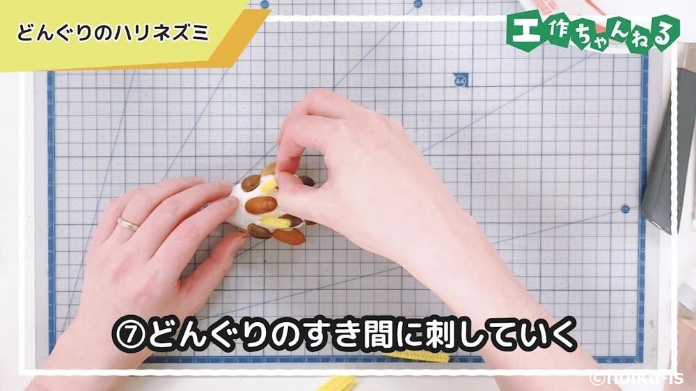 どんぐりの隙間に刺していく