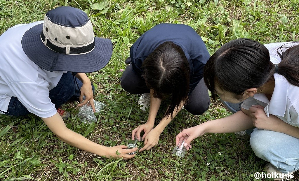 草原で観察する保育者