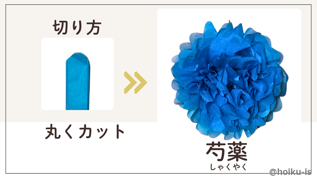 丸くカットして芍薬(しゃくやく)