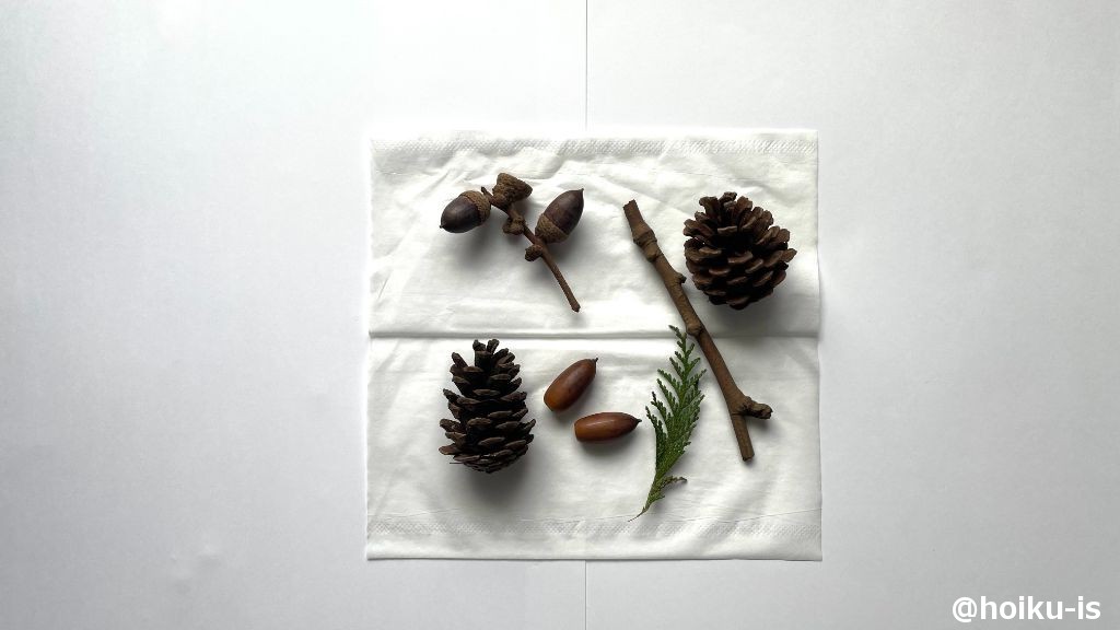 どんぐりや松ぼっくりを洗ってよく乾かしておく