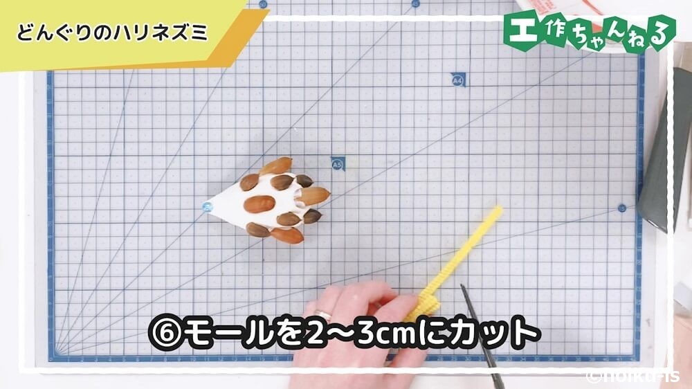 モールを2~3㎝にカット