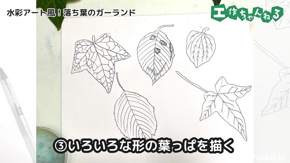 いろいろな形の葉っぱを描く