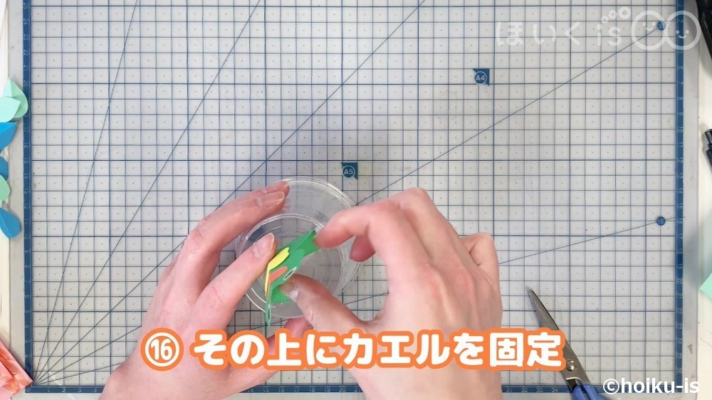 その上にカエルを固定