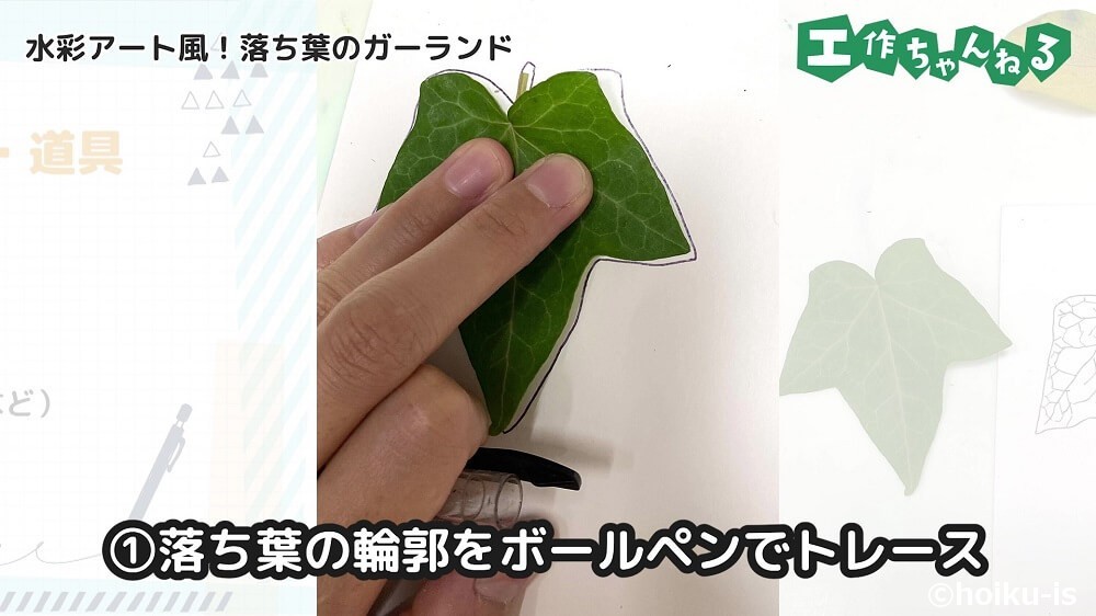 落ち葉の輪郭をボールペンでトレース
