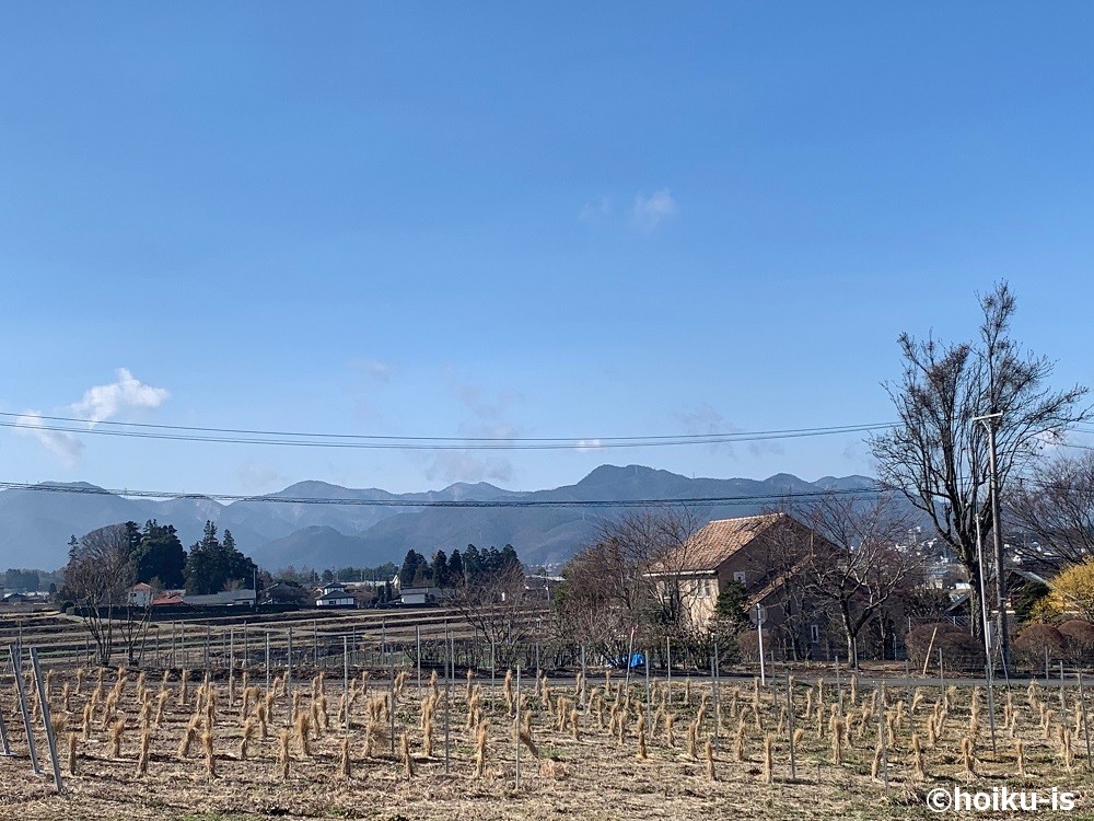 田畑の景色