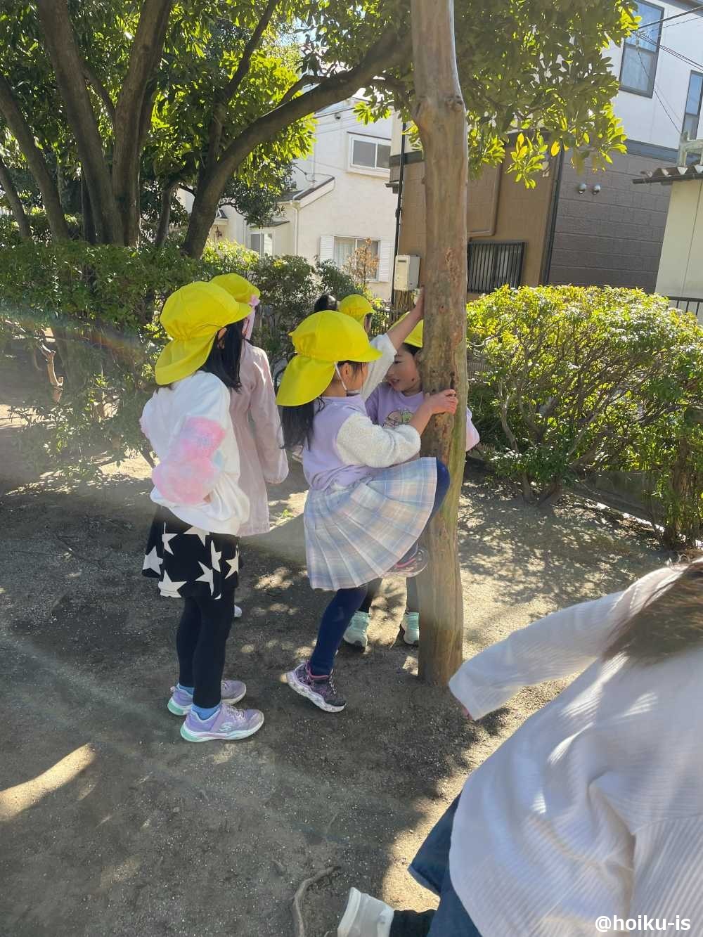 木登りの順番待ちをする園児