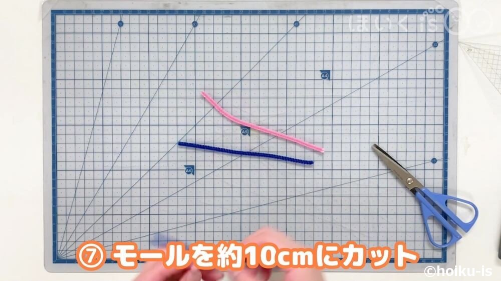 モールを約10㎝にカット