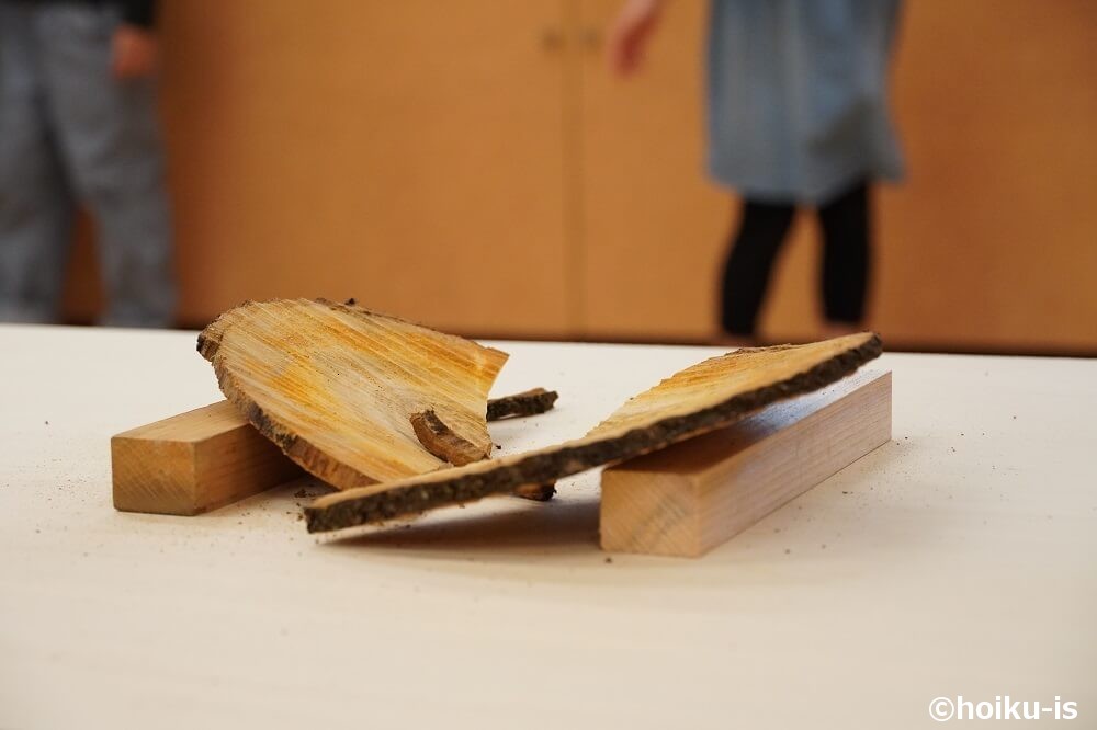 丸太が割れたところ