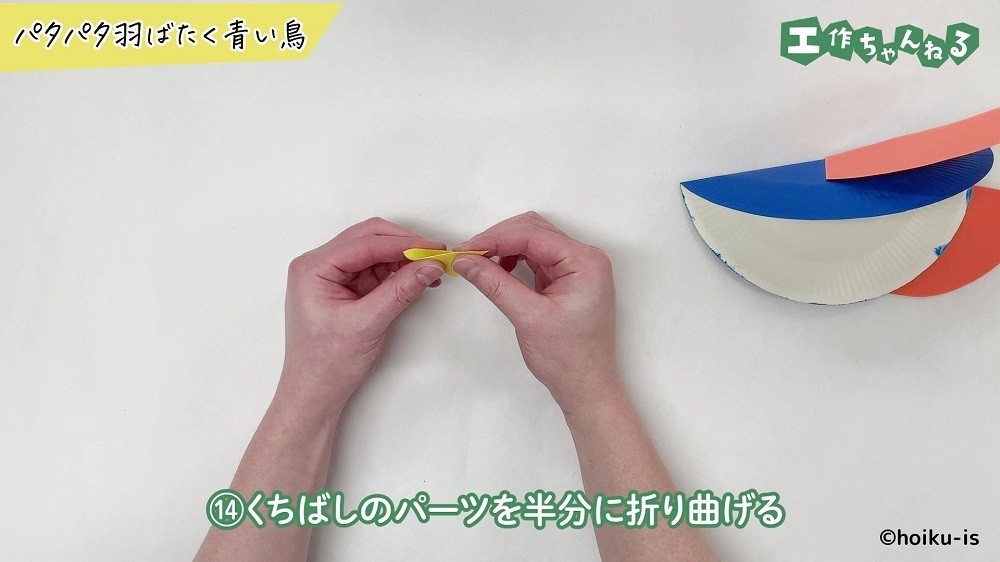 色画用紙を半分に折っている手元