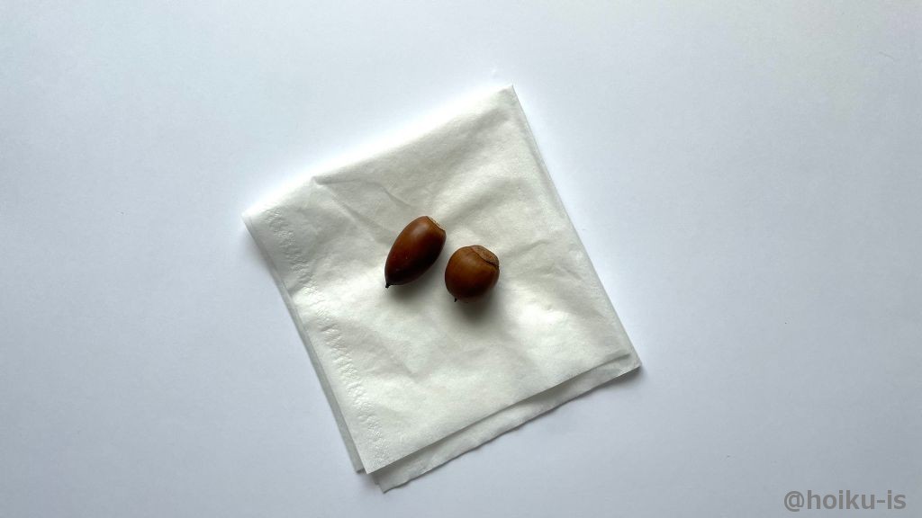 水分や油分をティッシュで拭き取る