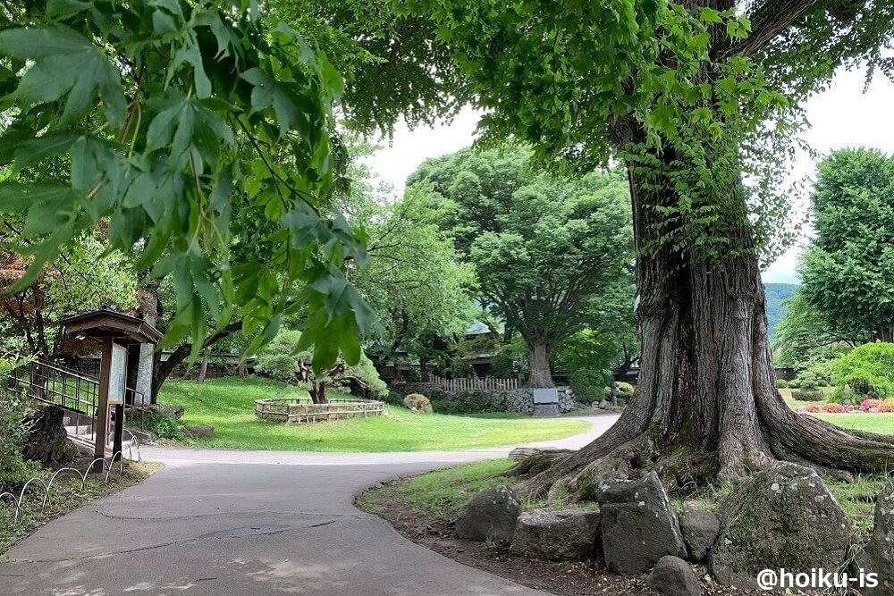 公園の風景