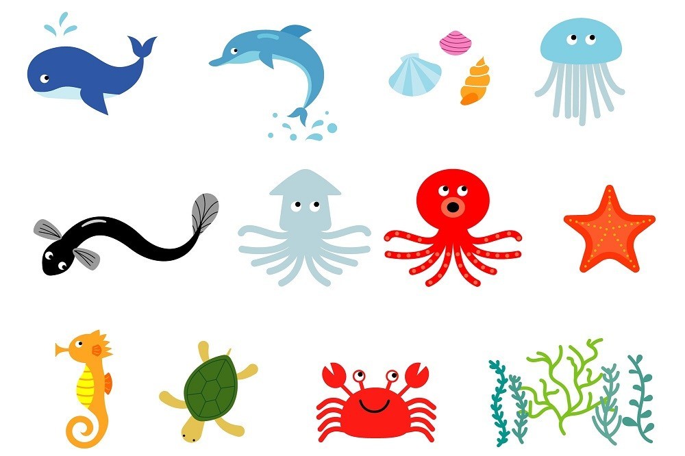 海の生き物のイラスト