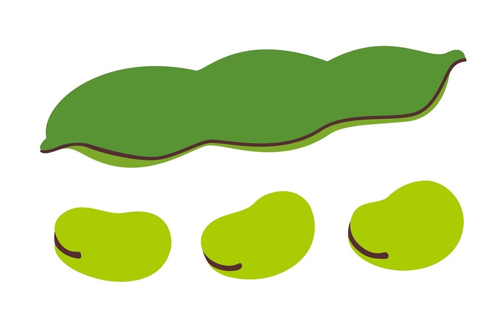 そらまめのイラスト