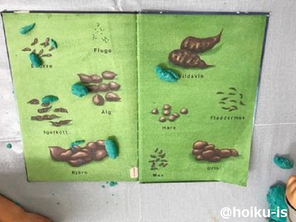 子ども主体の保育に!スウェーデンのプロジェクト活動「りすのプロジェクト」