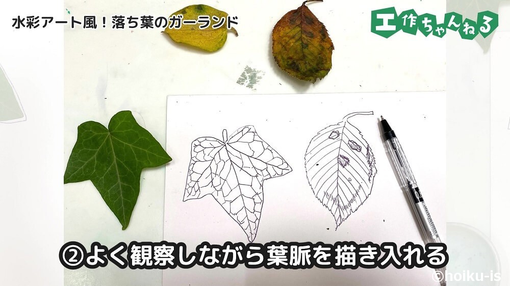 よく観察しながら葉脈を描き入れる