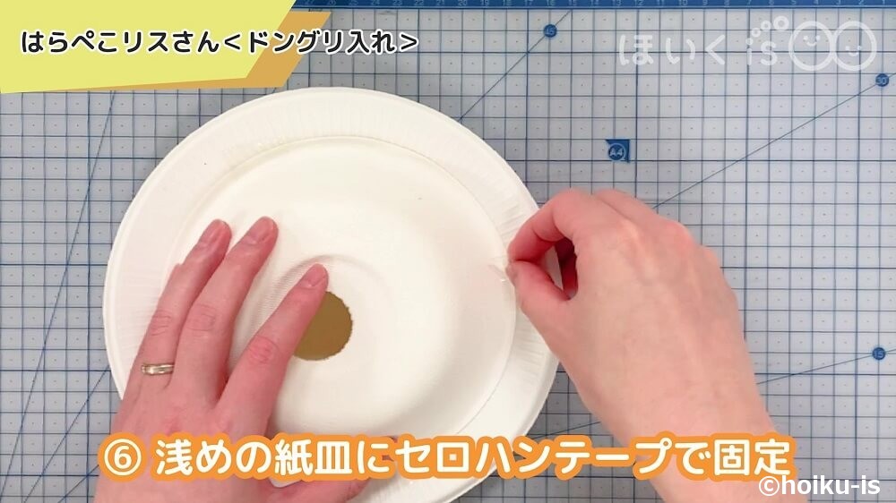 浅めの紙皿にセロハンテープで固定